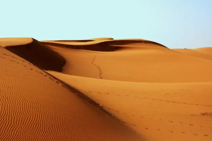 imageye___-_imgi_6_desert-1007157_1280-700x466