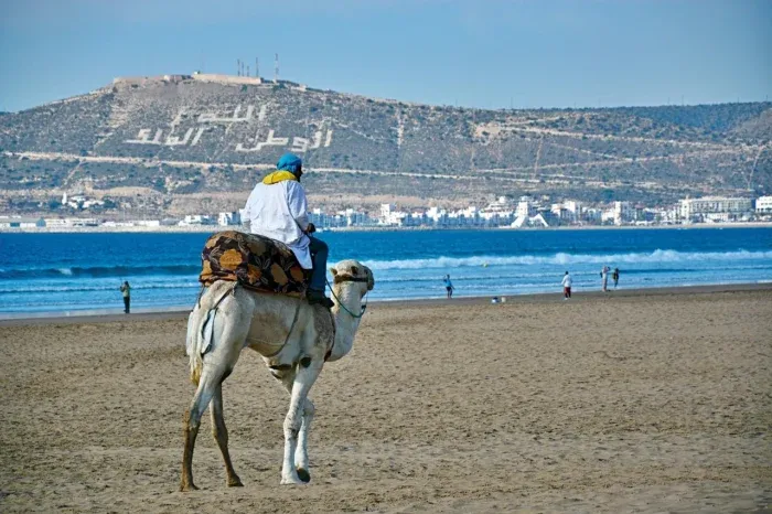 imageye___-_imgi_7_morocco-8197176_1280-_1_-700x466